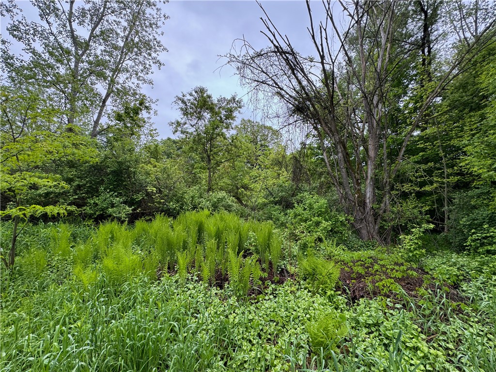 176-C Southworth Road, Dryden, New York image 18