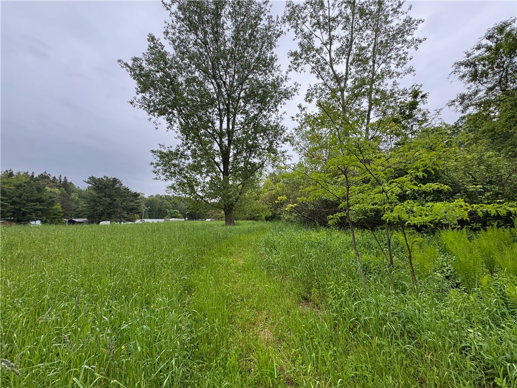 176-C Southworth Road, Dryden, New York image 8