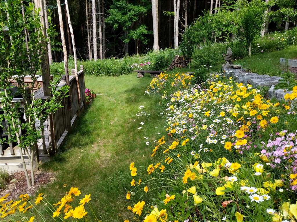 11 Sunny Slope Road, Dryden, New York image 29