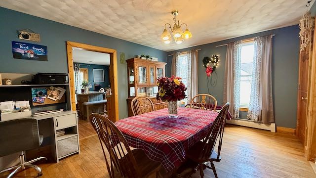 23 W Cayuga Street, Moravia, New York image 20