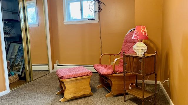 23 W Cayuga Street, Moravia, New York image 31