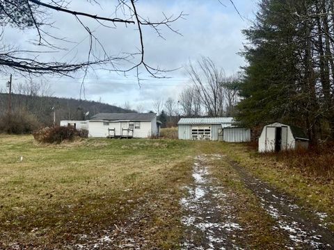 Homes For Sale - 196 Slate Road<br/> Candor, NY 13743