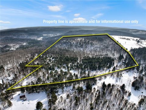Vacant Land For Sale - 169 Irish Hill Road<br/> Newfield, NY 14867