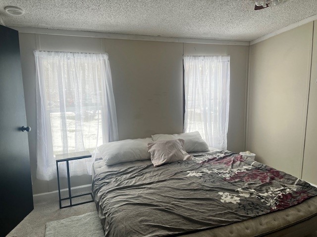 236 Tucker Hill Road, Locke, New York image 8