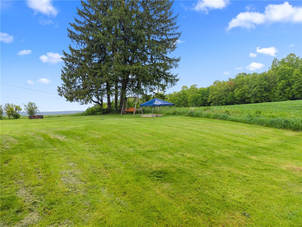 287 Millard Hill Road, Newfield, New York image 48