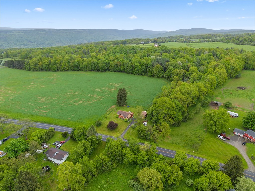 287 Millard Hill Road, Newfield, New York image 41