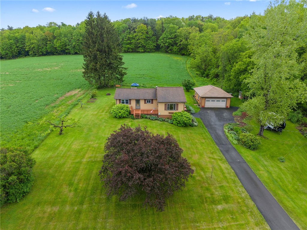 287 Millard Hill Road, Newfield, New York image 38