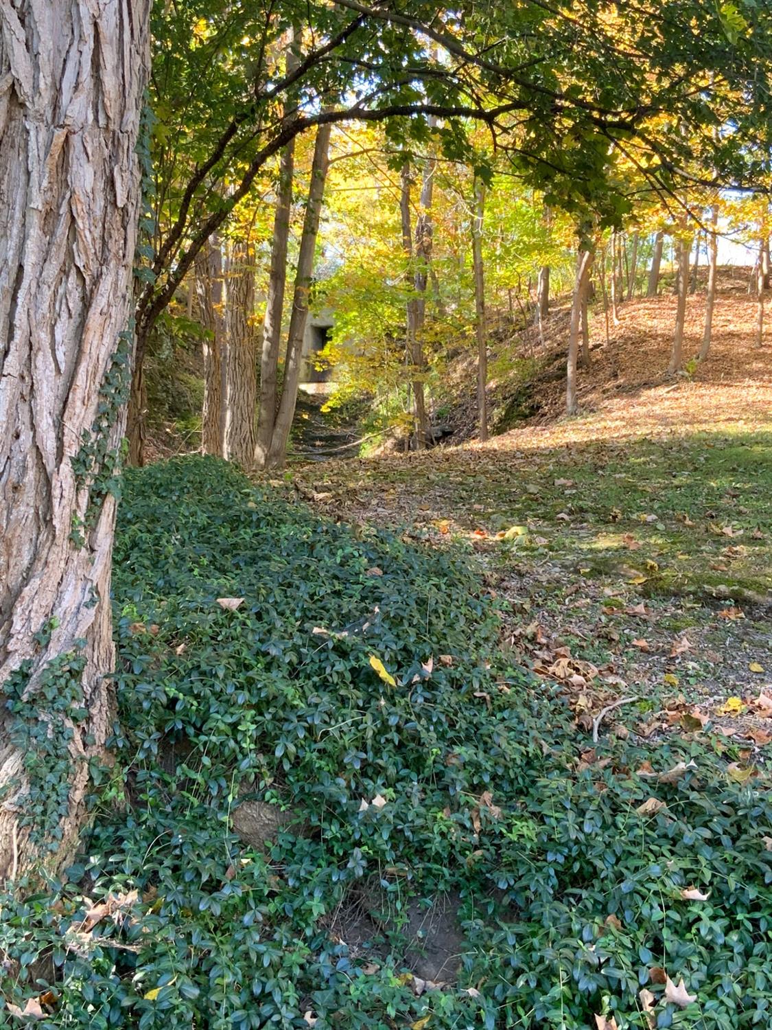 Ithaca, New York 14850, United States, 4 Bedrooms Bedrooms, ,1 BathroomBathrooms,Residential,Pending,69908