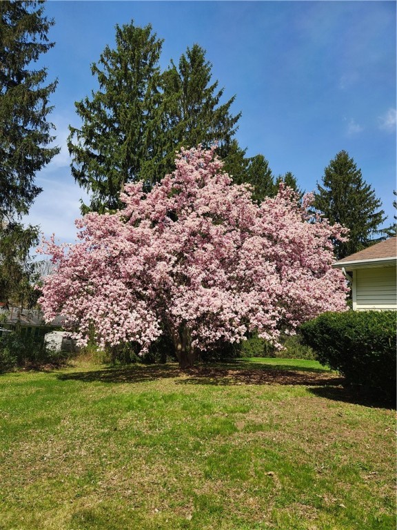 6 E Lansing Road, Lansing, New York image 38