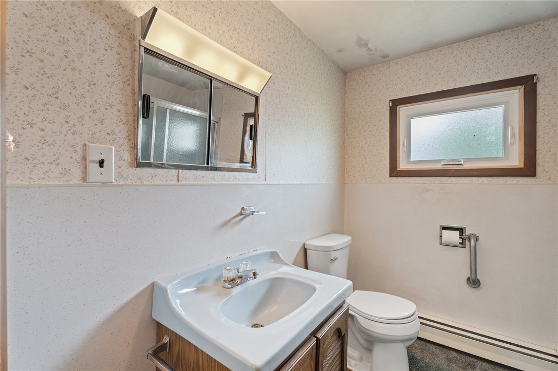 7198 Ann Street, Ovid, New York image 19