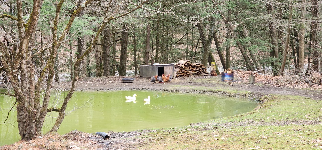 267 Drybrook Rd Rd, Owego, New York image 6