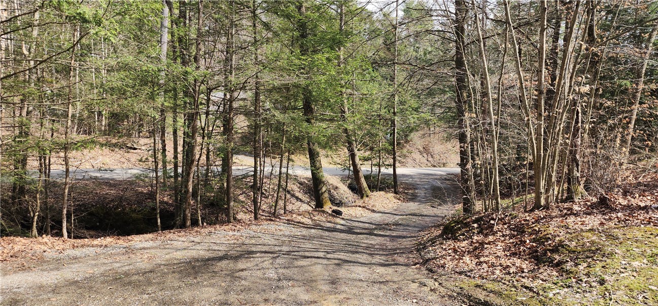 267 Drybrook Rd Rd, Owego, New York image 39