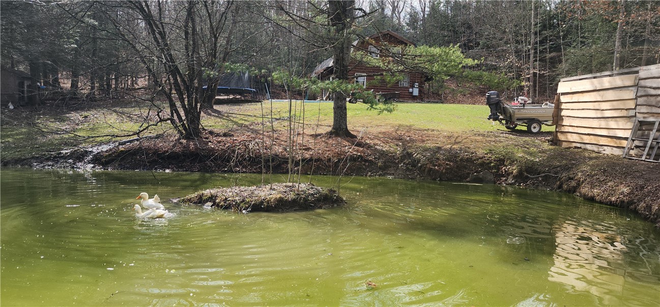 267 Drybrook Rd Rd, Owego, New York image 5