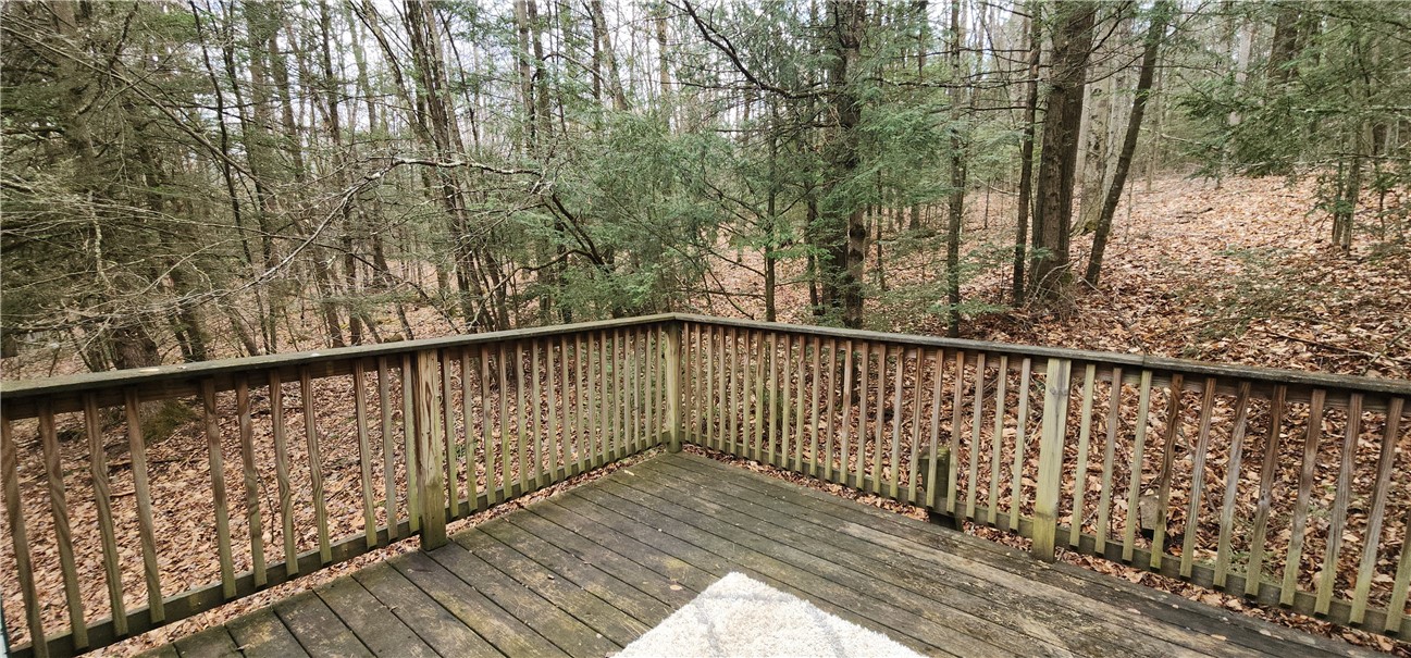 267 Drybrook Rd Rd, Owego, New York image 23