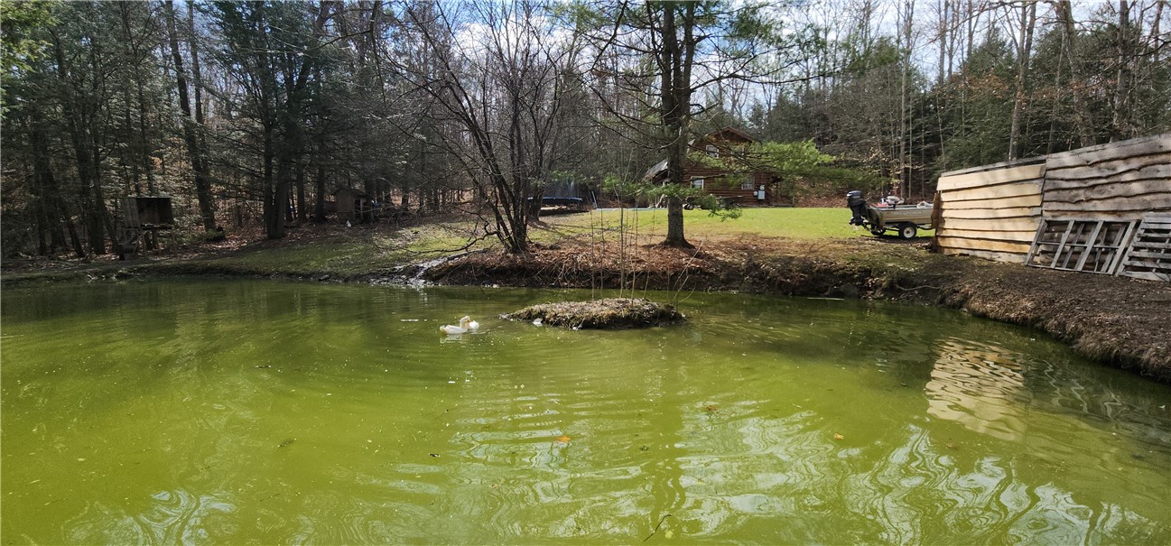267 Drybrook Rd Rd, Owego, New York image 40