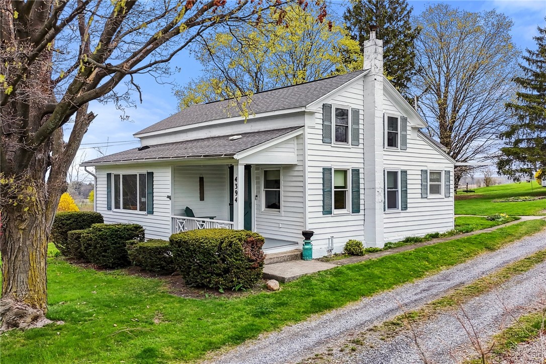 4394 Mcintyre Road, Hector, New York image 1