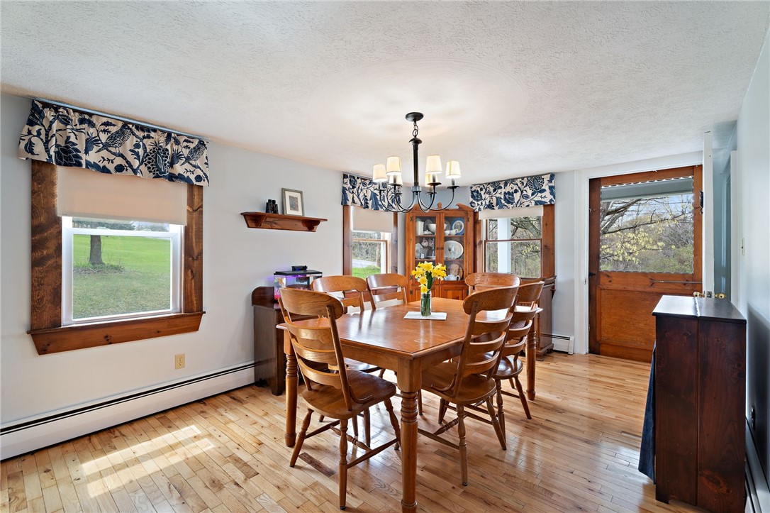 4394 Mcintyre Road, Hector, New York image 4