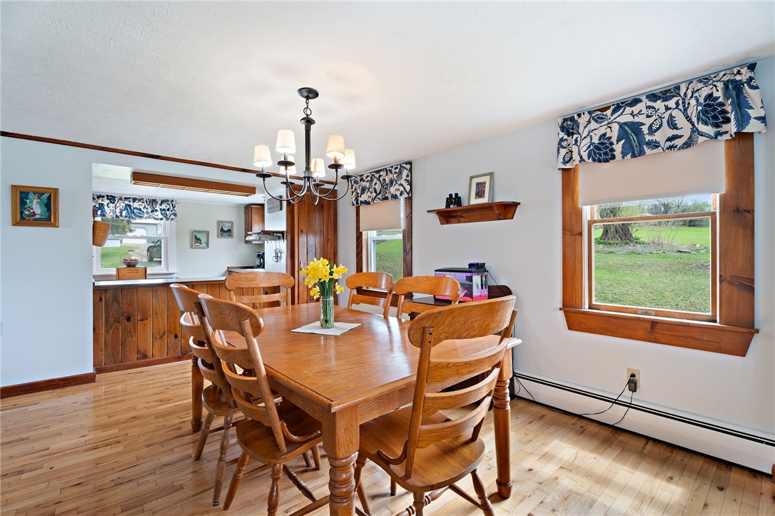 4394 Mcintyre Road, Hector, New York image 5
