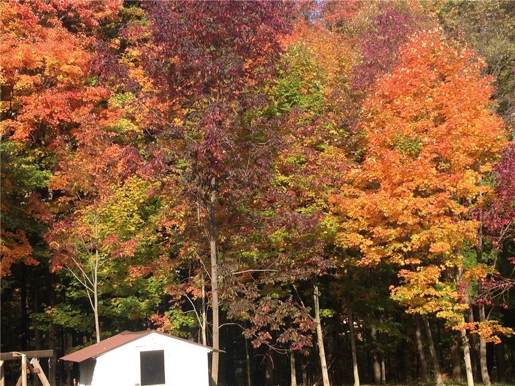 802 Coddington Road, Ithaca, New York image 36