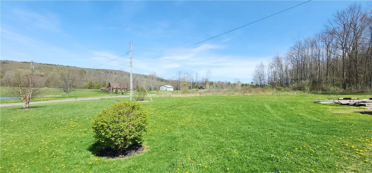 665 Crumtown Rd, Spencer, New York image 39