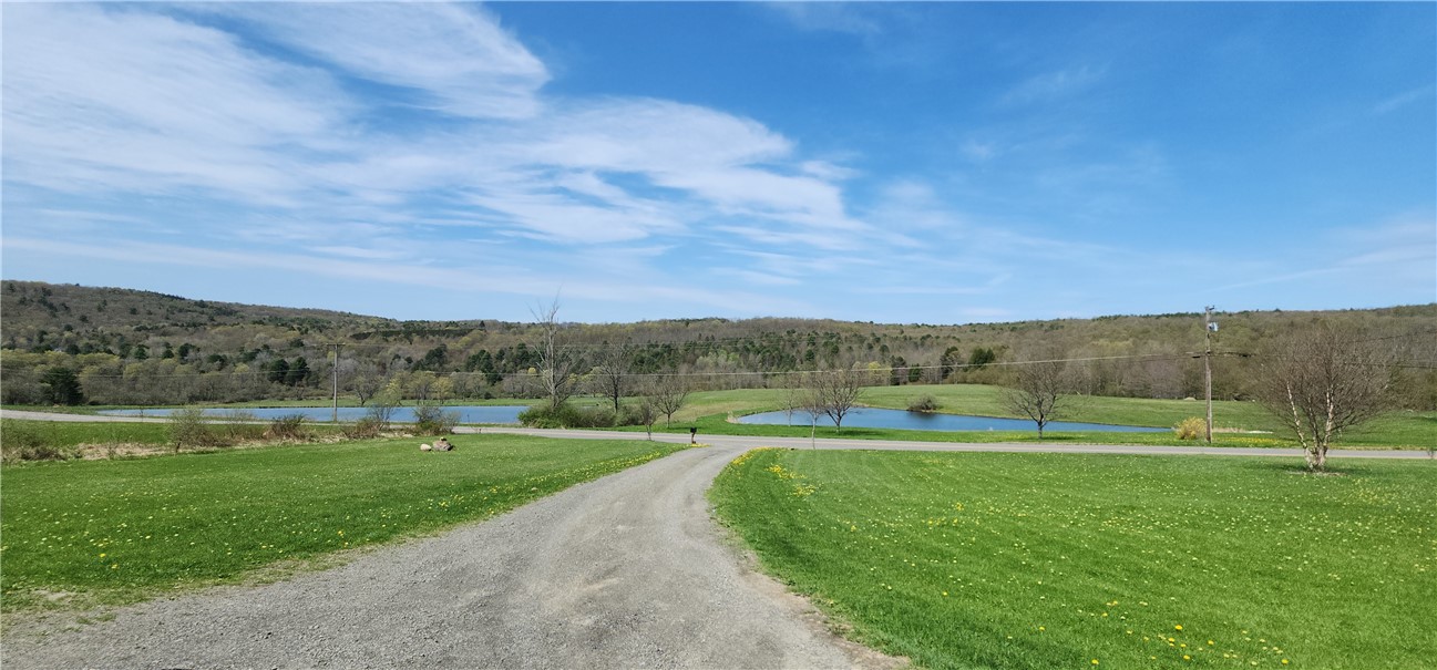 665 Crumtown Rd, Spencer, New York image 3