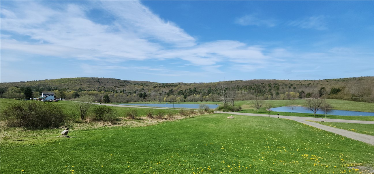 665 Crumtown Rd, Spencer, New York image 33