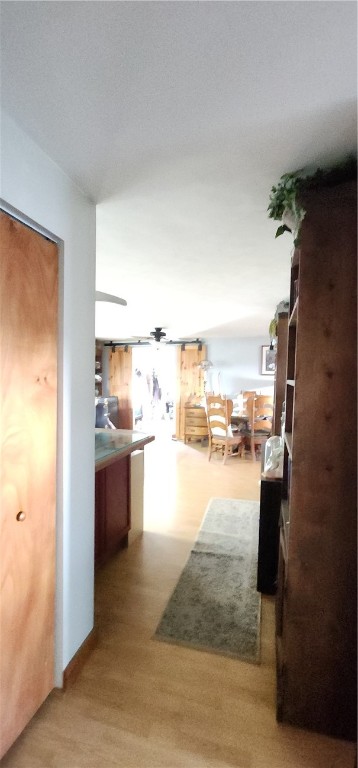 665 Crumtown Rd, Spencer, New York image 32
