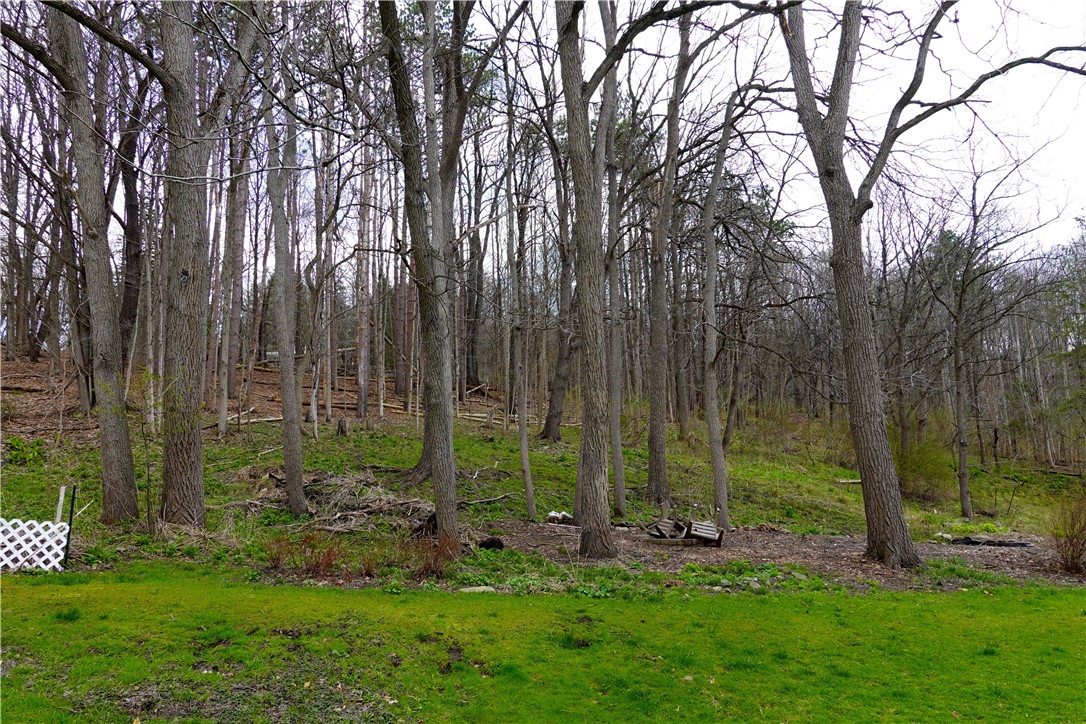 107 Barrows Street, Groton, New York image 5