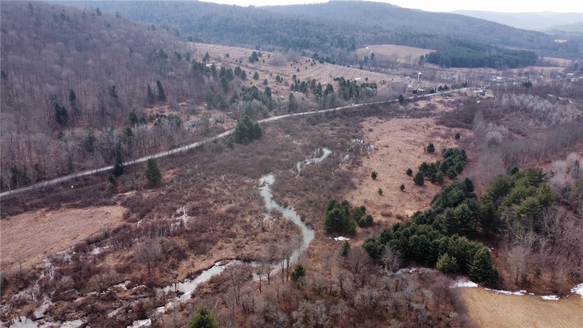 Prospect Valley Road, Candor, New York image 17