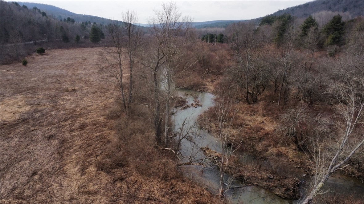 Prospect Valley Road, Candor, New York image 13