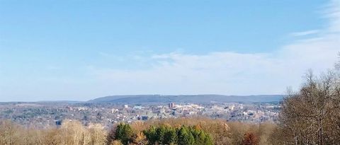 Vacant Land For Sale - Mecklenburg Road<br/> Ithaca Town, NY 14850