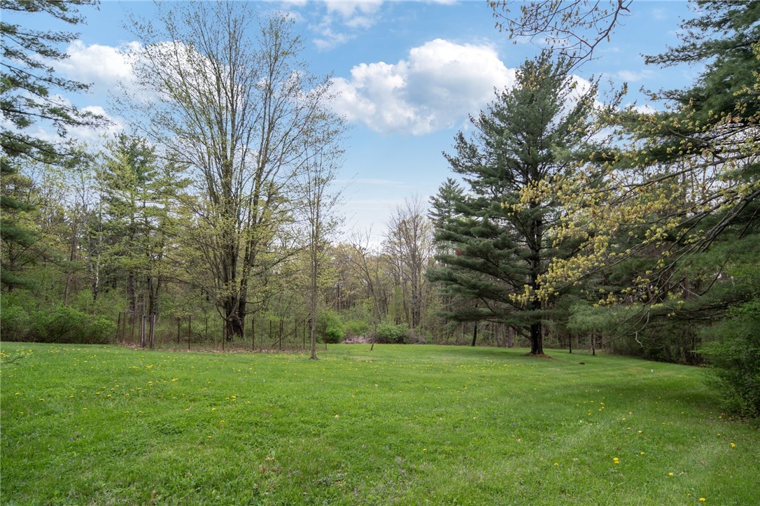 40 Turkey Hill Road, Dryden, New York image 23