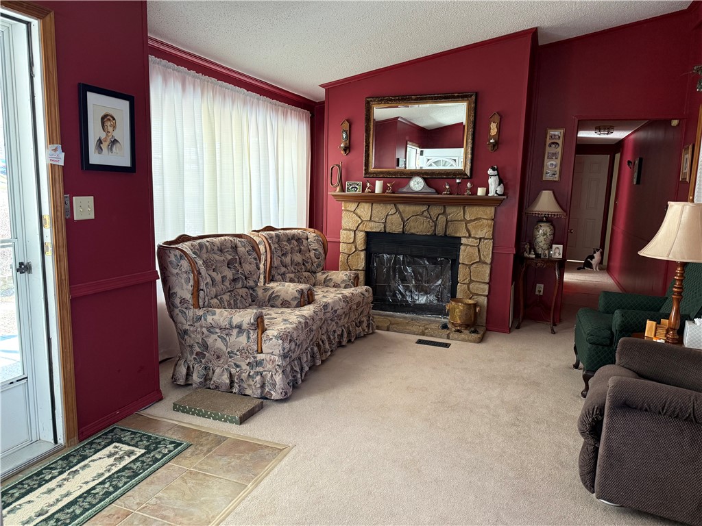 7 Benjamin Hill Heights Road, Newfield, New York image 6