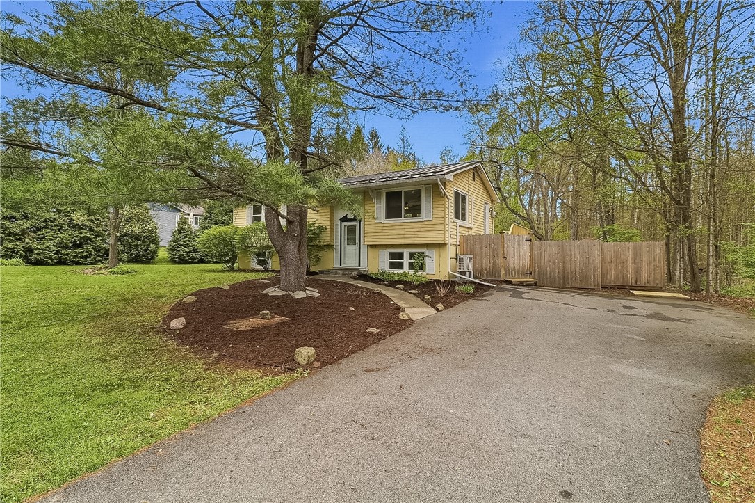 39 Besemer Road
