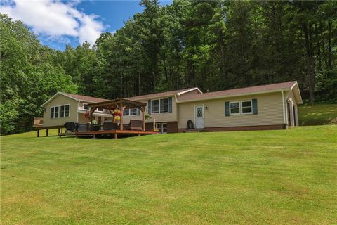 Homes For Sale - 1131 Shaffer Road<br/> Newfield, NY 14867