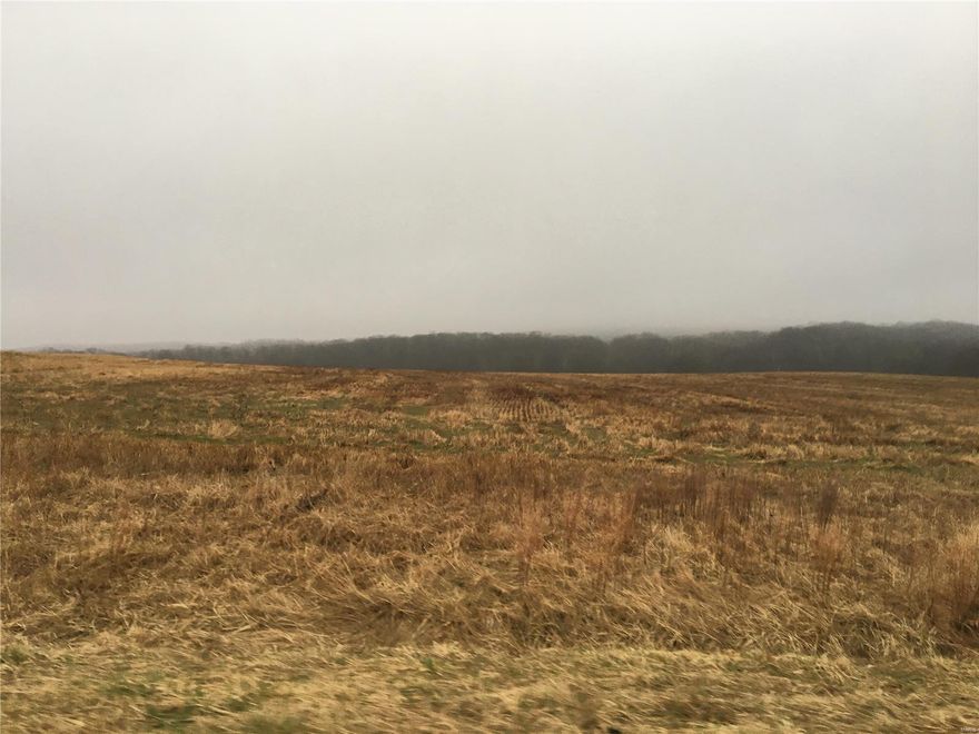 Beautiful Farm in Highly Sought After Location in Pike County! 293 +/- acres, approx 124 tillable, remainder in pasture and woods, 2 sides road frontage, beautiful creeks, 3 ponds, drilled well, $5500/acre