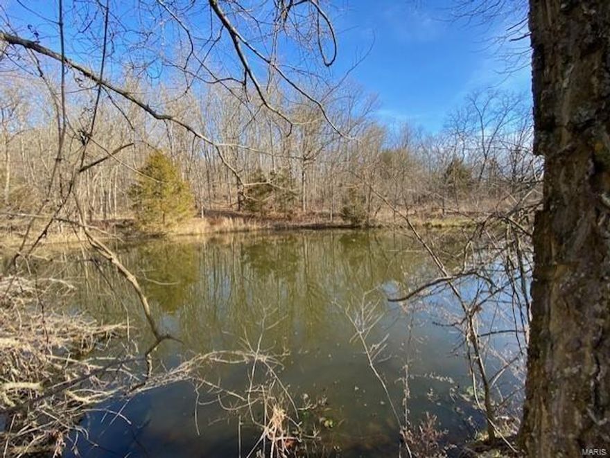 Farm for Sale in Douglas County Missouri. Cattle farm with 527 acres is 80% open, gently rolling and includes some bottom ground. There are 6 scattered ponds, multiple springs, 7 tire waterers, 2 wells and Fox Creek running on property. Fence is newer and in excellent condition. Land is set up to move cattle efficiently with abundant grass everywhere you look. Home offers 4 bedrooms, 2 full bathrooms, open floor plan with updated appliances. There is an older hay barn for hay and storage. This farm is ready for cattle with the amount of grass it has to offer and fencing in place. Call to view this property today!
