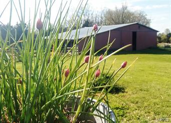 Gowans Fred W - Farm