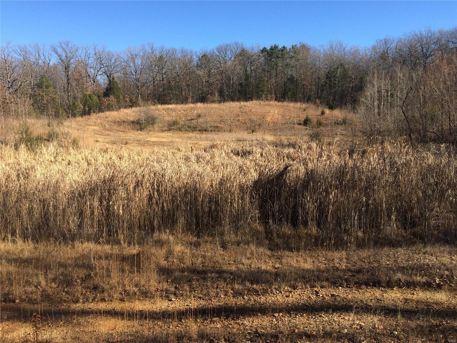 Ridge Creek Subdivision - Farm