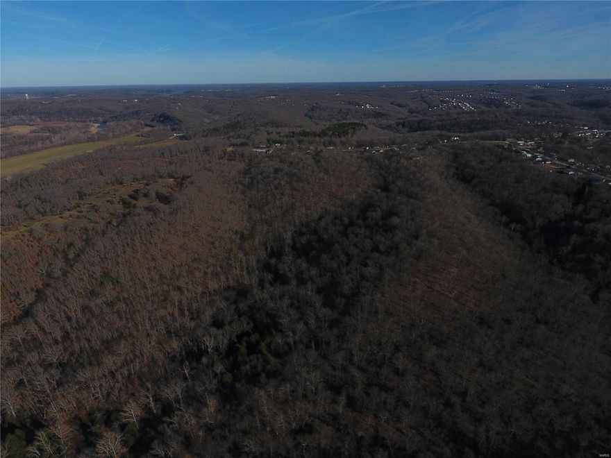 Wooded 150 ac tract including 21 platted subdivision lots with opportunity for future development. City water, sewer, and electric available. Paved road access. Perfect recreation land for hunting, camping, or secluded home all close to town. Only 3 miles from Gasconade river access. Agent/Owner. Priced to sell! Only $800/acre!