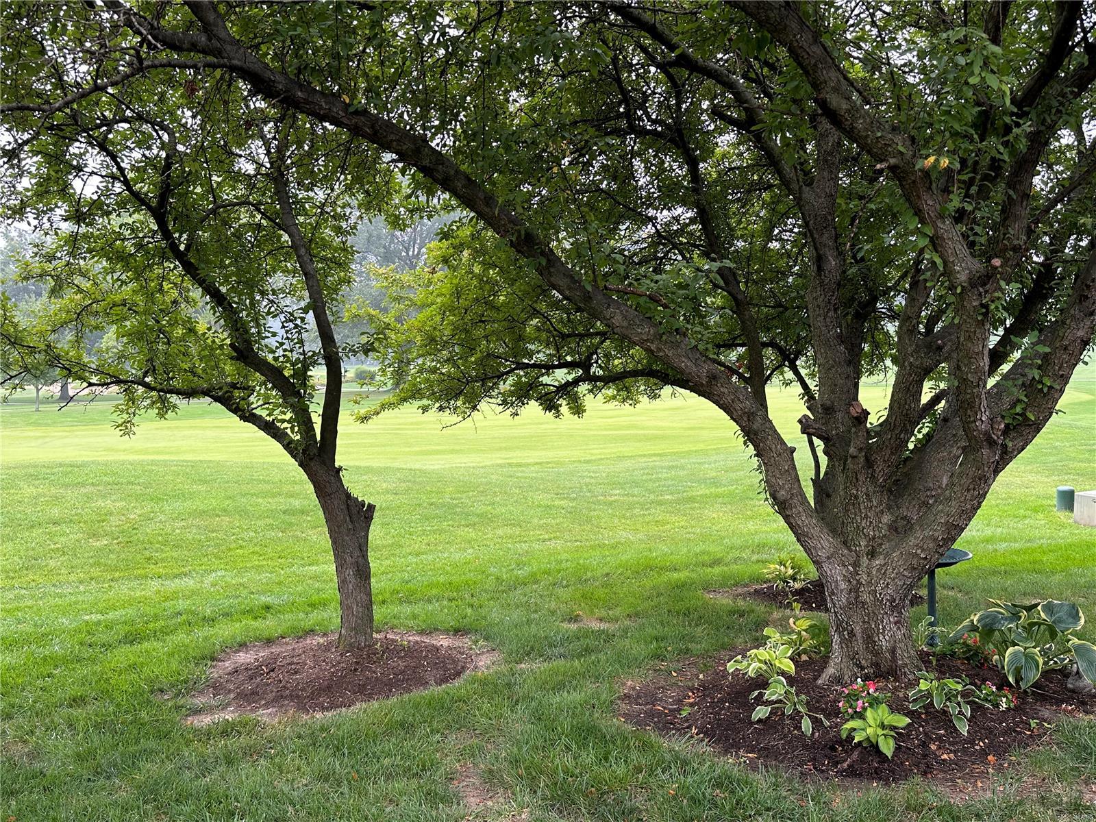 Country Club Greens - Residential