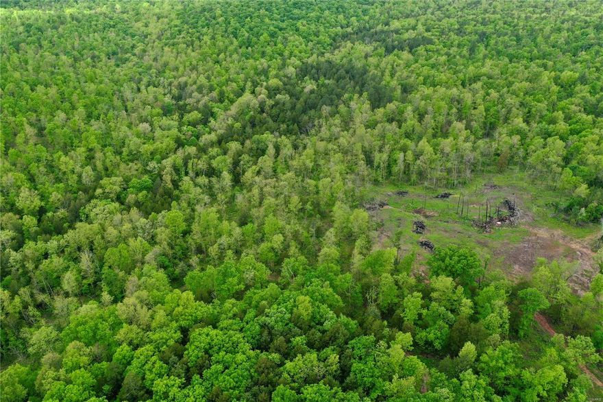 Introducing a breathtaking property located in Washington County, Missouri. This remarkable parcel spans approximately 412 acres and offers an incredible opportunity for nature enthusiasts. Property has multiple trails throughout the property as well as a spring. This property is a true hunter's paradise. With an abundance of wildlife and SPRING FED FLAT CREEK meandering through, it provides the perfect environment for both hunting and exploring the great outdoors. Multiple food plots are located on the property. This property offers easy access. One of the standout features of this property is the absence of any restrictions, allowing you the freedom to bring your vision to life.  There is potential for creating your own private lake or other recreational amenities.Whether you are looking to build your dream home surrounded by nature's beauty or seeking a recreational retreat, this property offers endless possibilities.