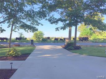 LONG VIEW SUBDIVISION - Residential