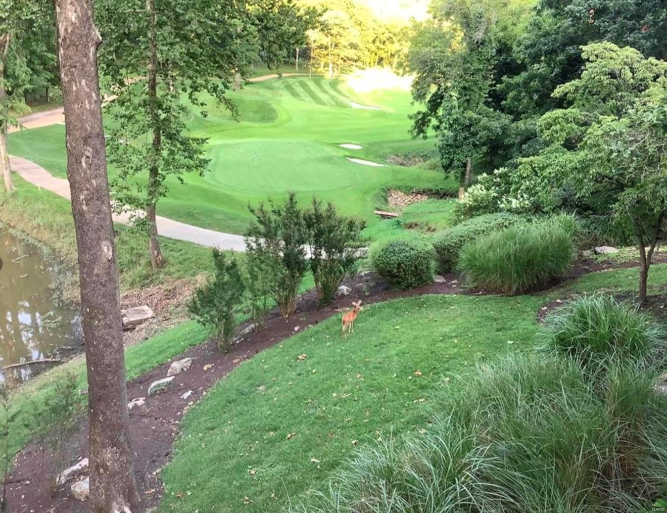 Cedars Valley - Residential