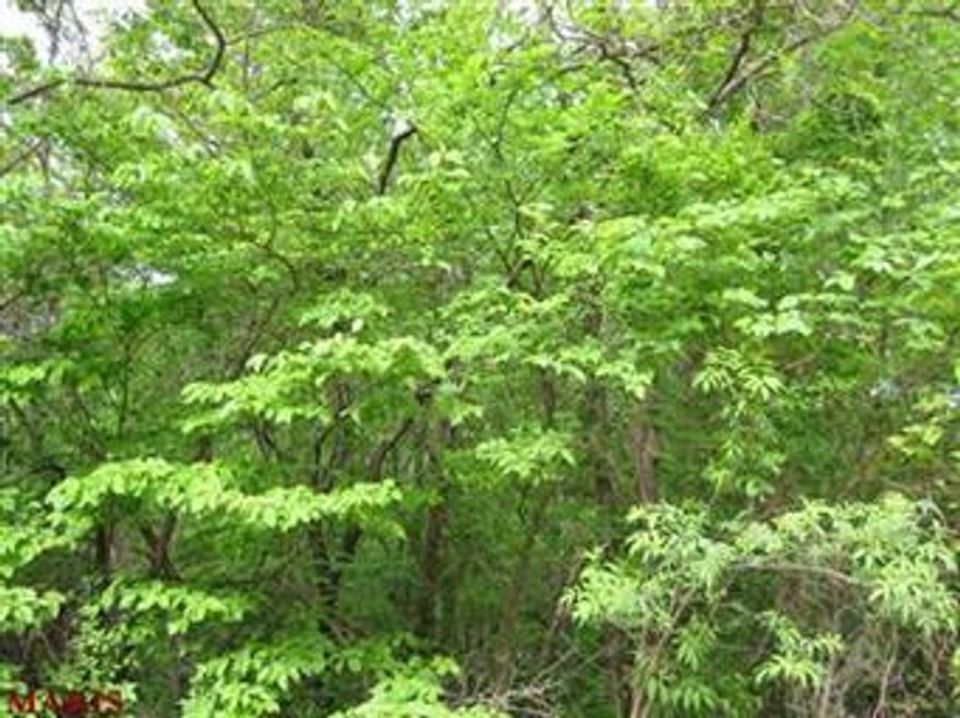 4 plus acre wooded lot in Big Woods Subdivision.  Mobile homes allowed.