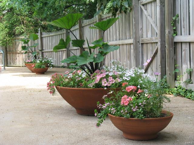 Alta Dena - Residential