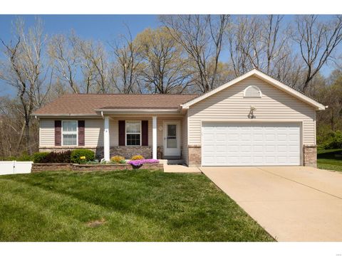 1504 Dorie ct Fenton MO 63026
