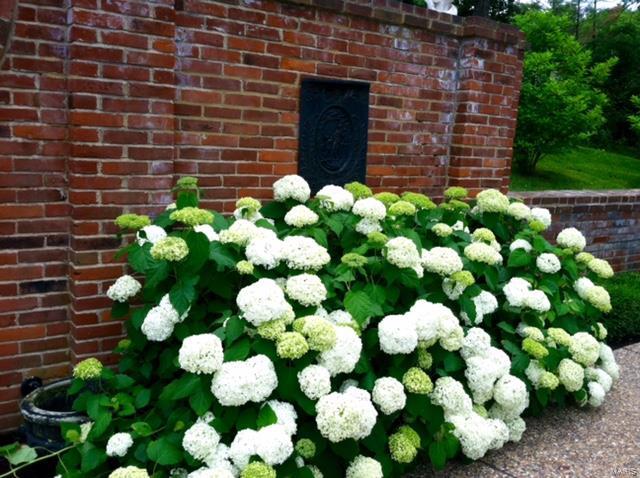 Barclay Woods/ Log Cabin Lane - Residential