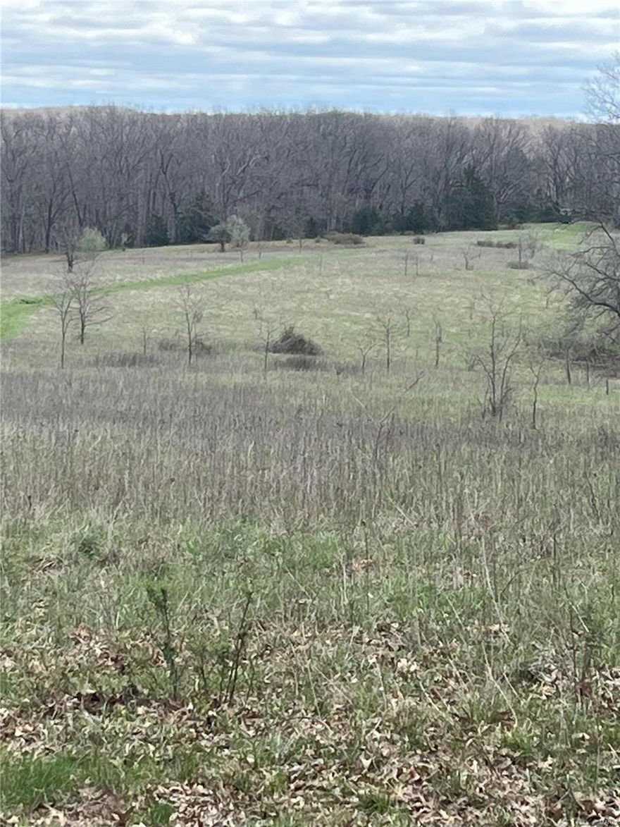 This 188-acre property located west of Montgomery City in Callaway County presents an excellent opportunity for both a farming operation and recreational hunting property. With the Loutre River running through it, two ponds, and both wooded and open areas, this land is prime for hunting, fishing, or trail riding. Having served as a cattle farm in the past, the property holds potential for restoration into a fully functioning agricultural operation. Alternatively, its abundant wildlife signs make it a haven for hunters or outdoor enthusiasts seeking to find that monster whitetail or turkey. The existing house presents possibilities for renovation into a cozy weekend retreat or hunting cabin. This property offers the perfect blend of recreation and leisure, making it perfect for those seeking rural lifestyle or an investment opportunity in Missouri’s beautiful countryside. Located 45 minutes from Columbia and an hour and a half from St. Louis makes for a quick commute to your getaway.