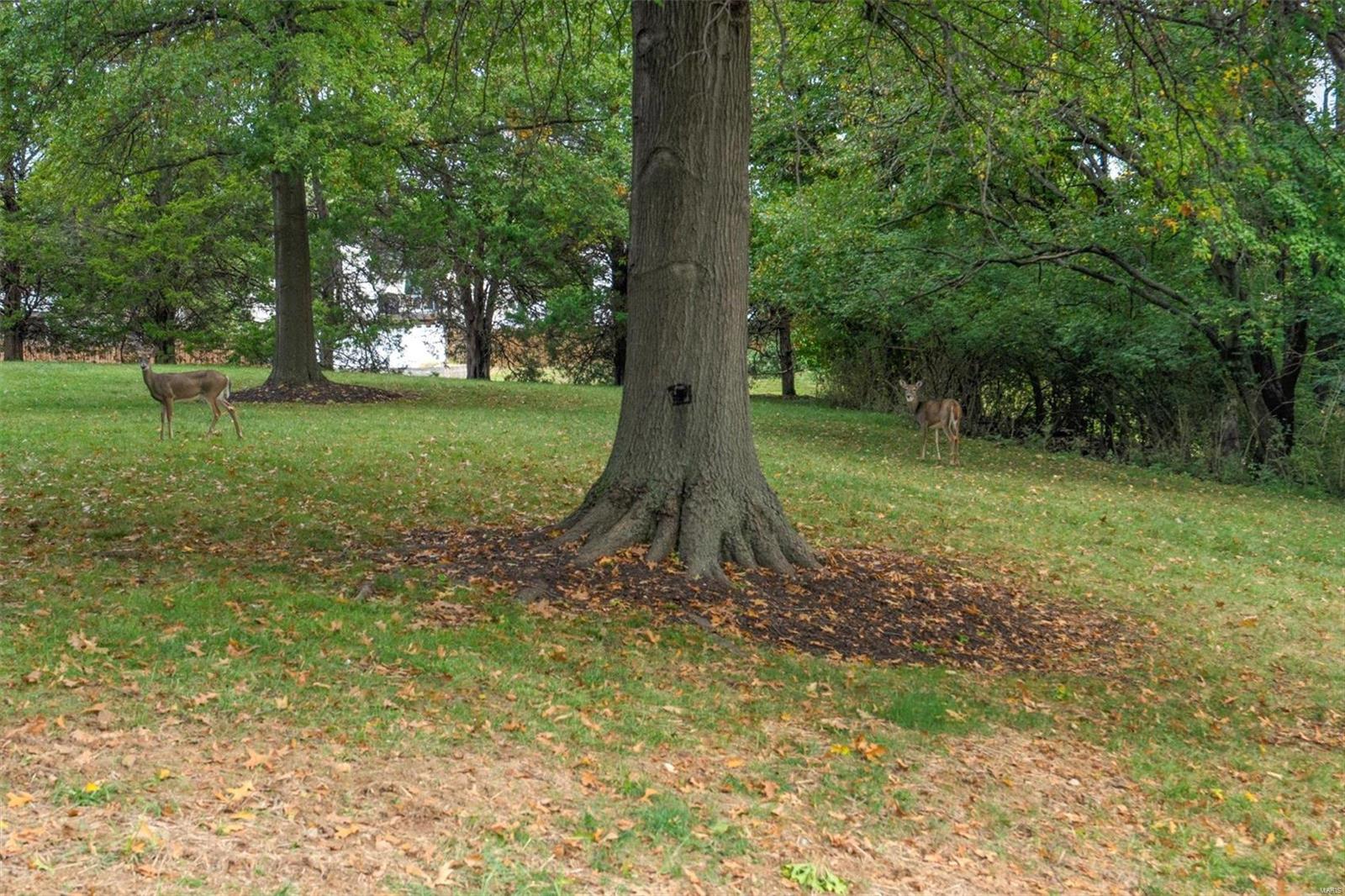 Woodside Trails Condo First - Residential